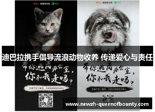 迪巴拉携手倡导流浪动物收养 传递爱心与责任 迪巴拉携手倡导流浪动物收养 传递爱心与责任